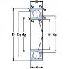 підшипник 71913 ACE/HCP4A SKF #1 small image